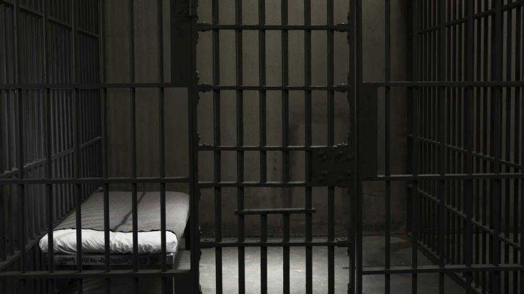 oneyear prison term imposed Eastern European gang upheld