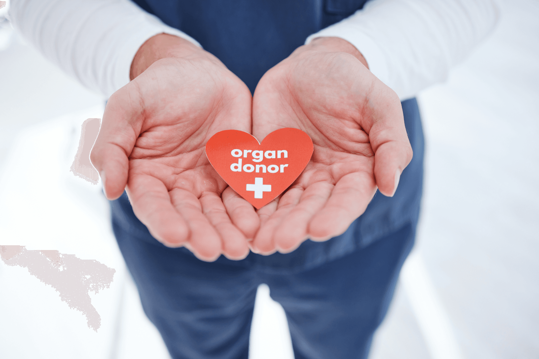 uae, Dubai, healthcare, organ donation, transplant, medical