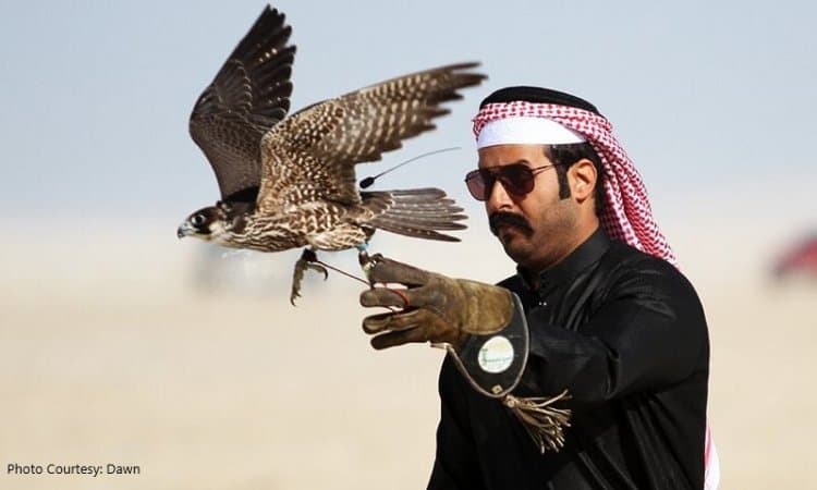 UAE Updates Laws To Promote Traditional Hunting Without Wildlife Imbalance