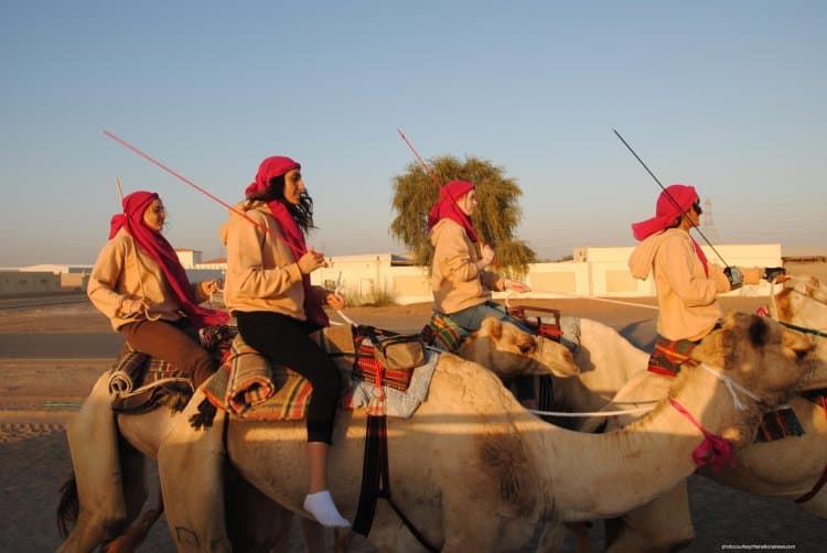 Emirati Women Camel Riders Compete for the First Time in Marathon
