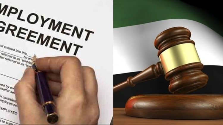 New UAE Labour Laws Will Facilitate New Opportunities, Boost To Entrepreneurship, Access To Global Talent Pool