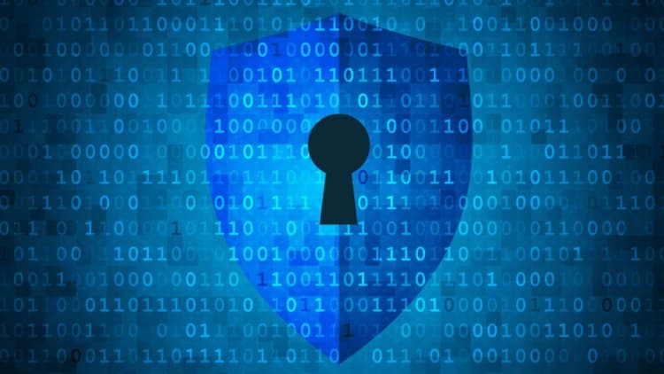 UAE confident to safeguard privacy with its first Data Protection Law