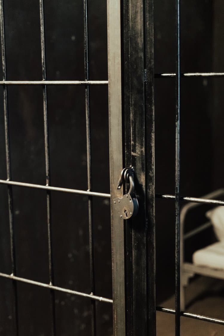 Security chief says UAE doesn't wait for crimes to take place but works to prevent them.
