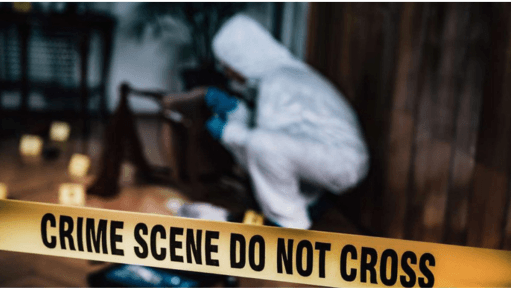 Everything You Need to Know About Criminal Proceedings in UAE