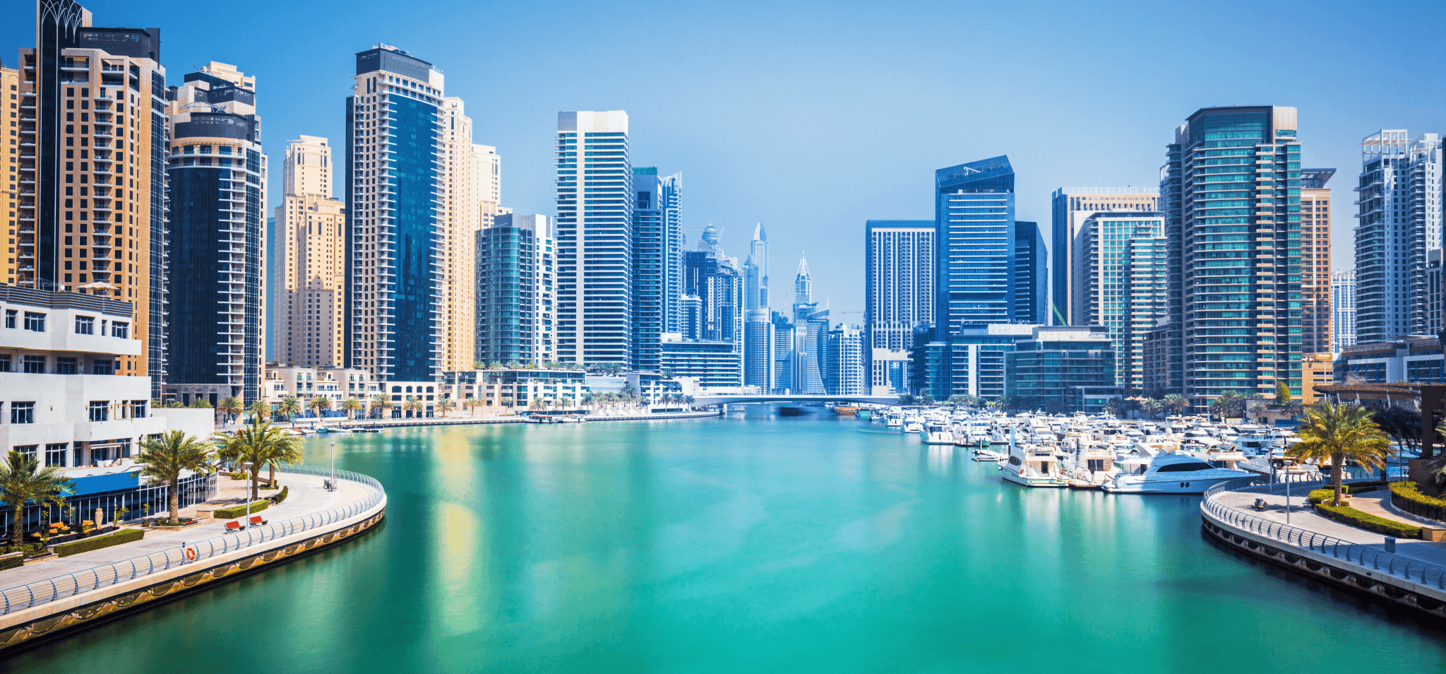 Start your business with the best free zone in UAE
