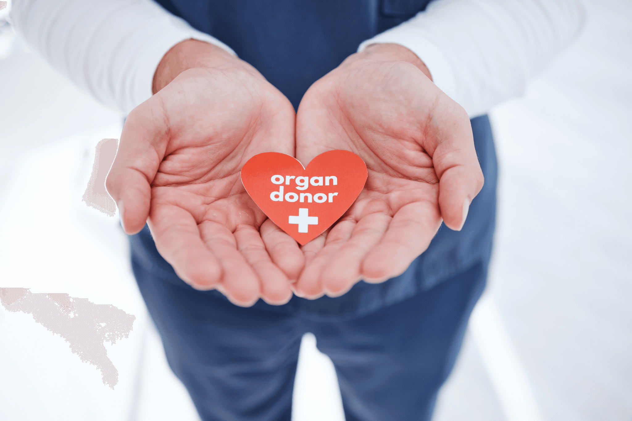 Want to be Someone’s Hero? Organ Donation Laws in the UAE Illuminate Paths of Lifesaving Bravery