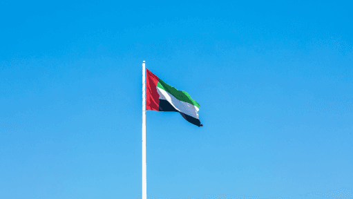 Threat to National Security: UAE Intensifies Combat Against Seditious Activities