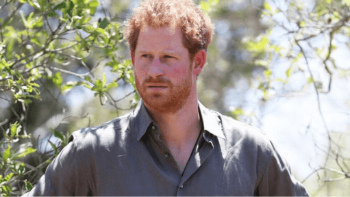 Prince Harry Loses High Court Challenge over UK Security Downgrade