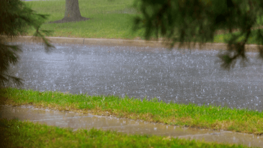 Navigating Insurance Costs for Rain, Storm and Hail Damage in the UAE