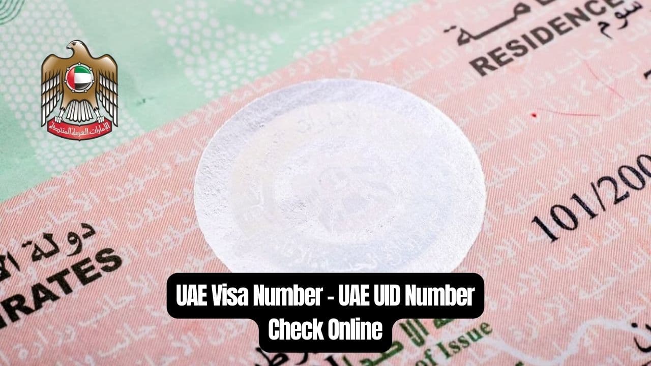 How to Easily Locate Your Unified Identification Number in the UAE: A Comprehensive Guide