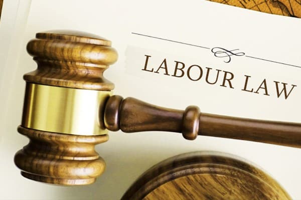 Understanding the UAE Labour Law: An In-Depth Look at Flexible Work Patterns