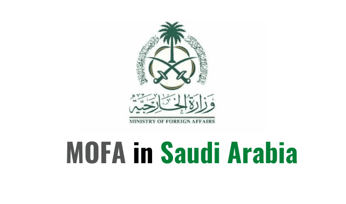 Simple Steps to Verify Saudi Arabia Visit/Residency Visa Status Online Using Your Passport Number