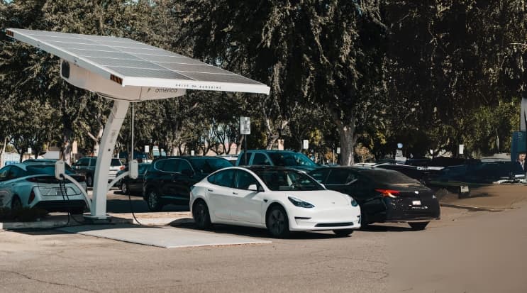 Tesla Sales Plunge Amid Elon Musk's Controversial Political Involvement