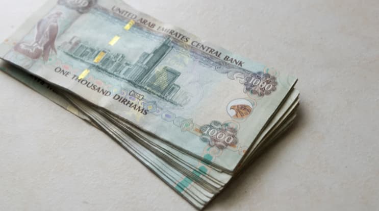 UAE Introduces New Salary Rule: WPS Mandated for Domestic Workers