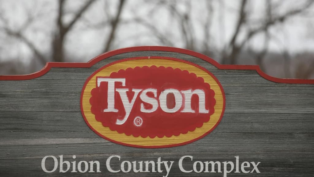Burford Challenges Tyson’s Claim of Meddling in Settlement Talks