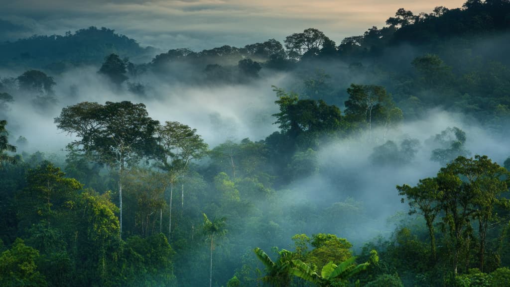 World Court Declares Climate Protection a Legal Duty