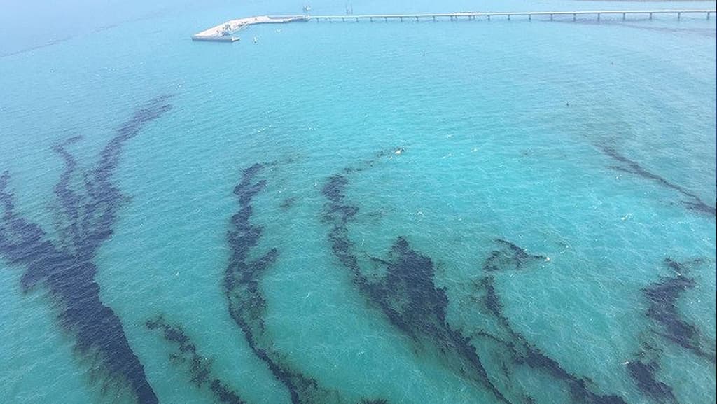 Kuwait’s EPA Cracks Down on Marine Polluters with 6 Months in Jail and Fine