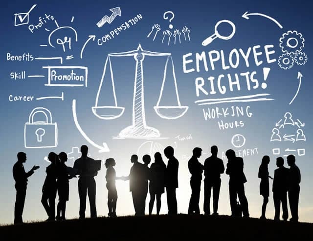 Burden of Proof Under the UAE Labour Law Offers Structured Protection for Employers and Employees