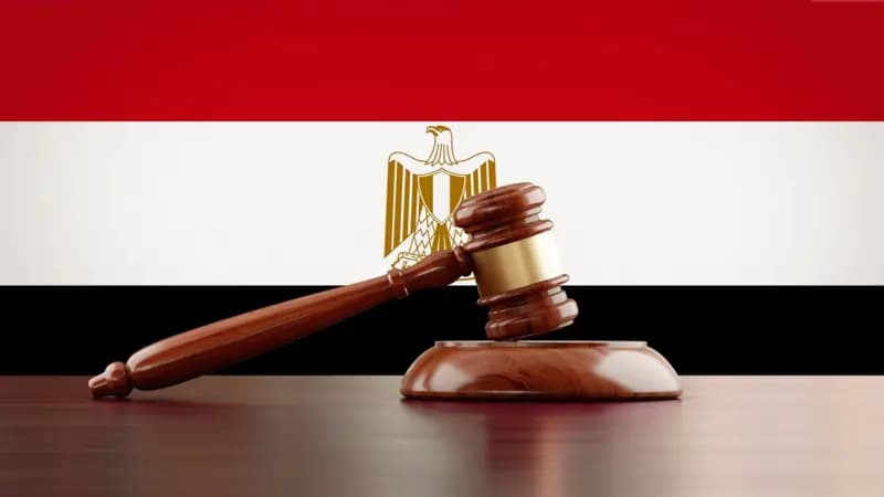 Egypt Unveils Sweeping 355-Article Family Law to Rewrite Personal Status Rules