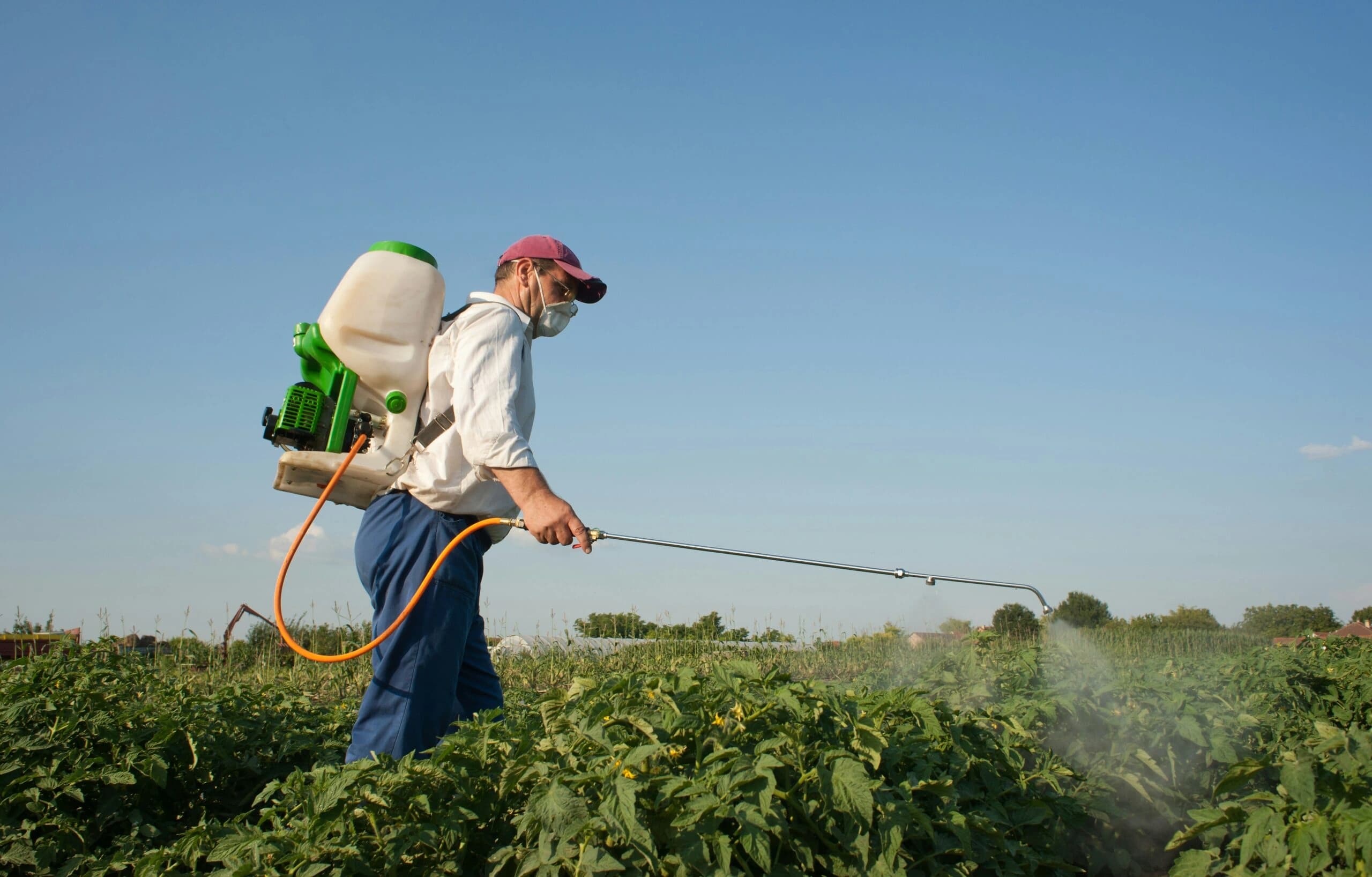 Lawyers Seek $675 Million Fee From $7.25 Billion Bayer Roundup Settlement