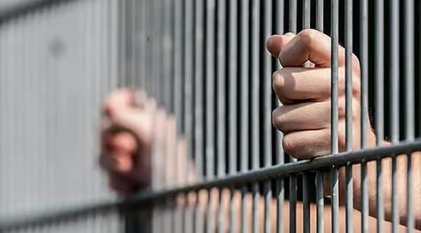 UAE Issues Tough Warning on Illegal Wildlife Trade With up to 15 Years in Prison, Dh2 Million Fine