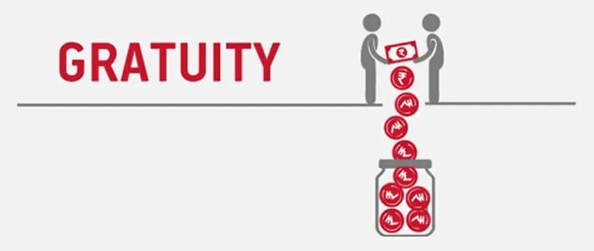 How Gratuity is Calculated Under UAE’s Labour Law and Why Your Basic Pay Matters More Than Allowances