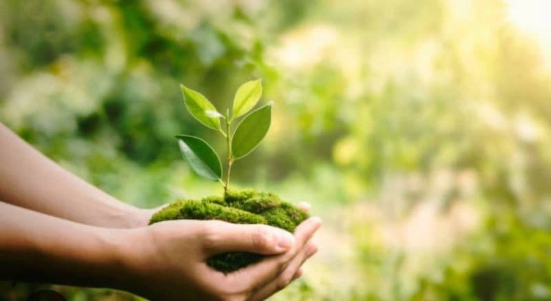 The Human Core of ESG: Why the Social Pillar Has Become a Legal and Corporate Imperative