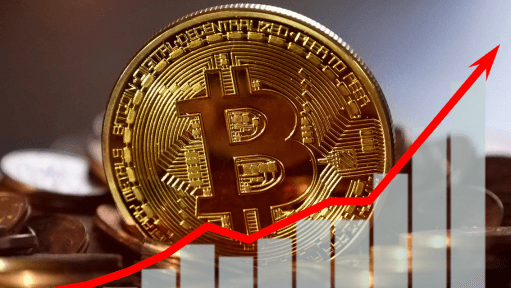 Bitcoin's Unexpected Stability in 2024: A Turning Point for Long-Term Investors