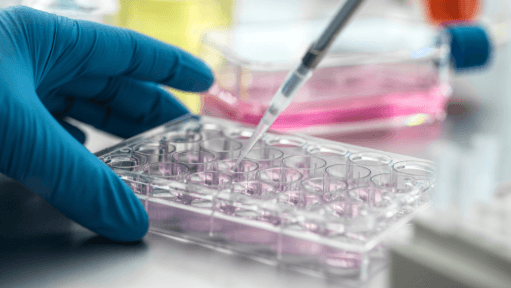 UAE Leads the Charge in Genomics: Pioneering Disease Prevention and Precision Medicine