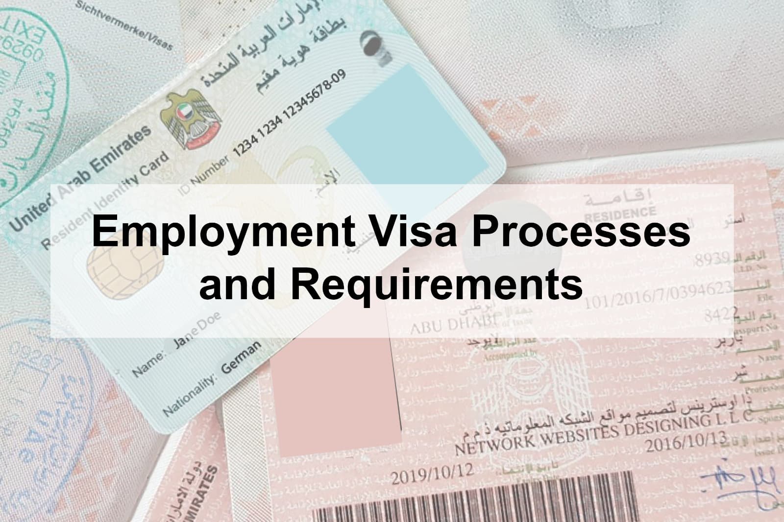 Employment Visa Processes and Requirements
